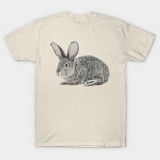 Rabbit Drawing T-Shirt